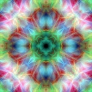 Meet your Posher, D. william